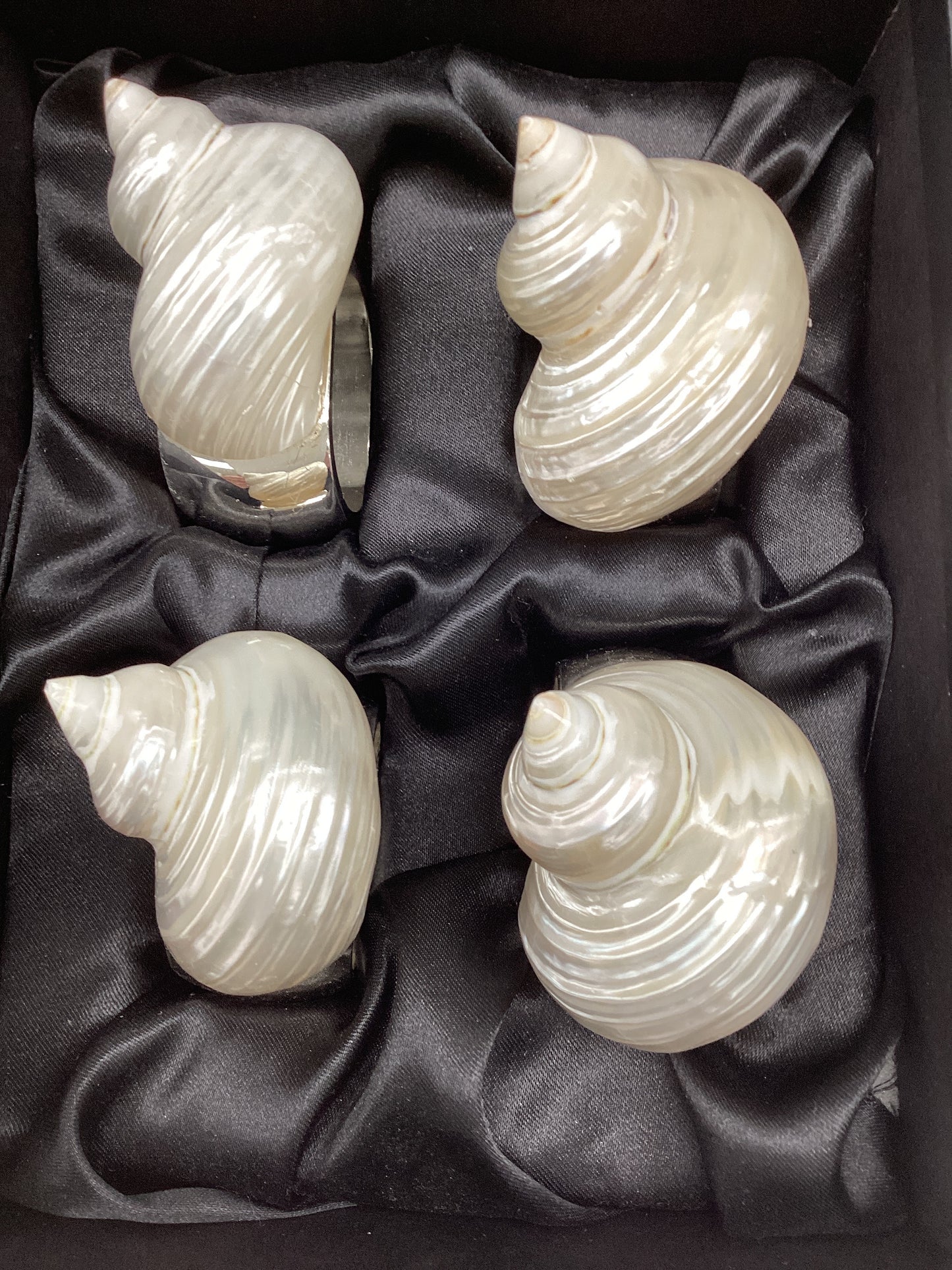 Small Pearl Turbo Shell Napkin Ring Set/4
