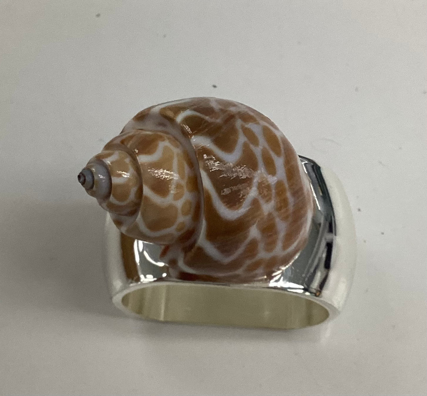 Small Turbo Shell Napkin Ring ENHANCE
