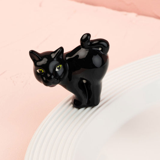 Scaredy Cat Mini