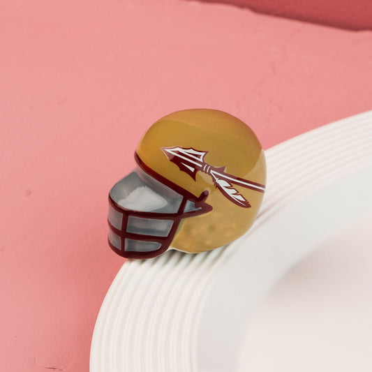 Florida State helmet