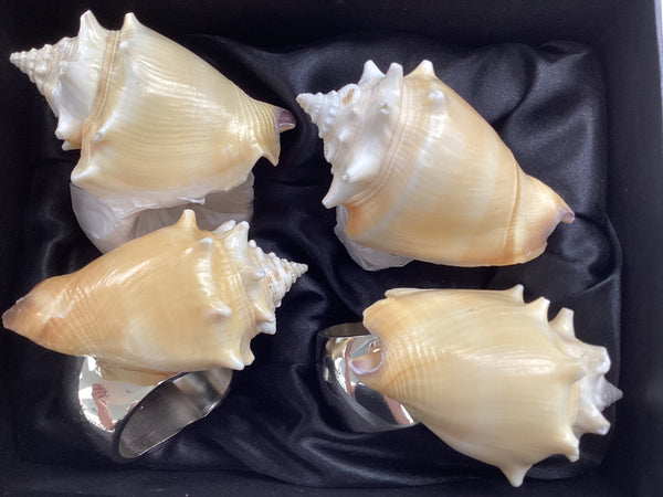 Shell Napkin Ring Set