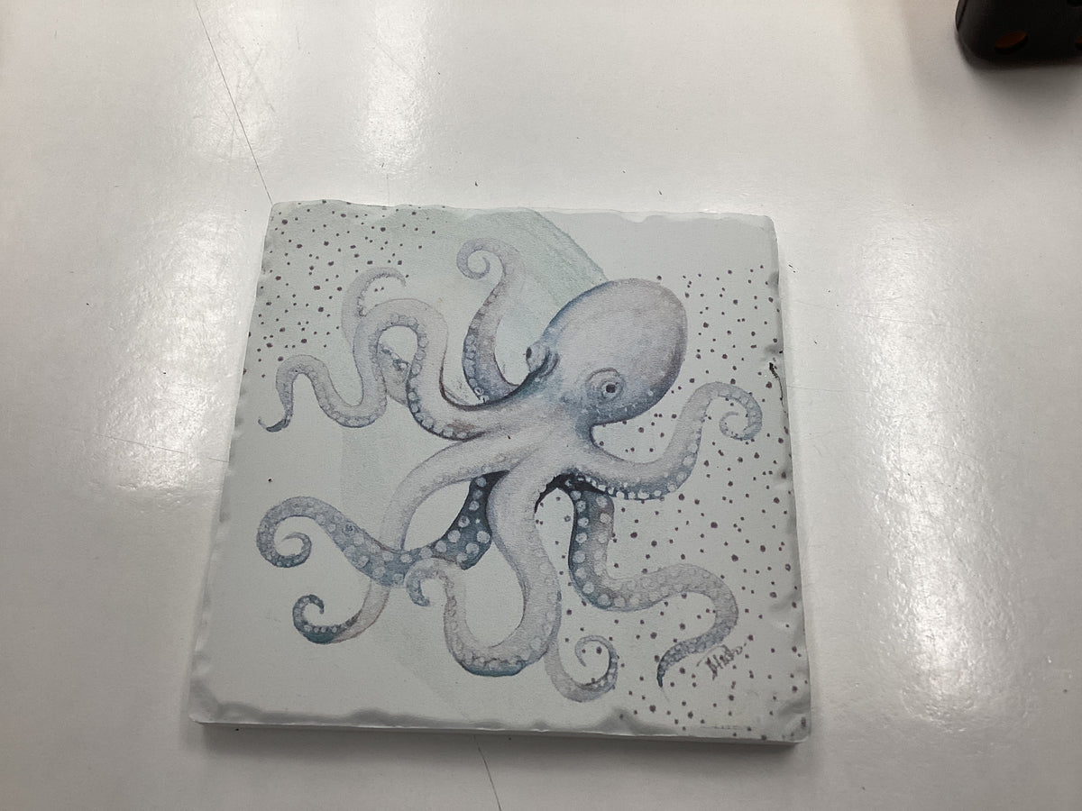 Rect Octopus Coaster S ENHANCE