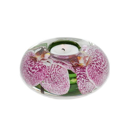 Spotted Phalaenopsis Orchid T-Light Candle Holder