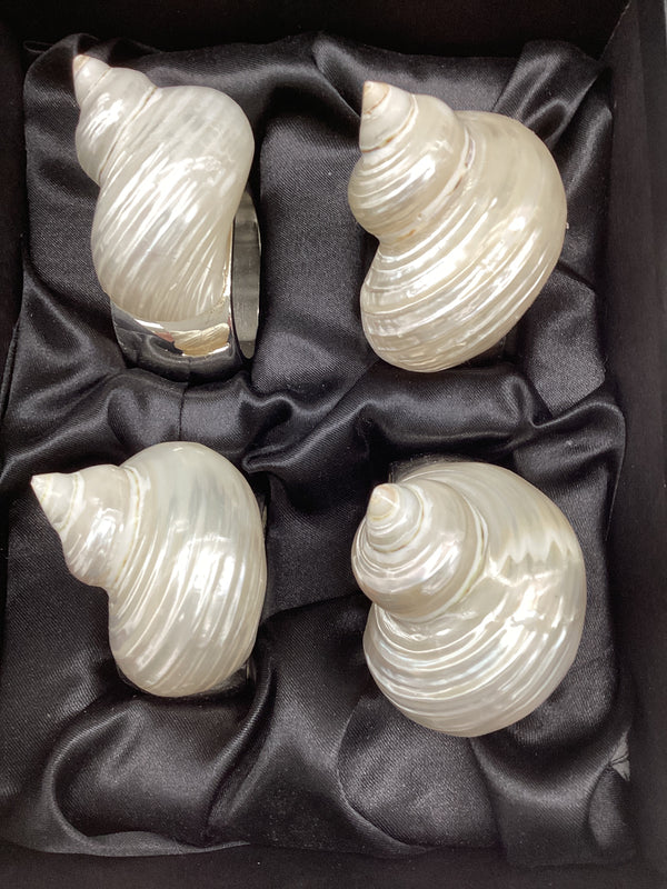 Small Pearl Turbo Shell Napkin Ring Set/4