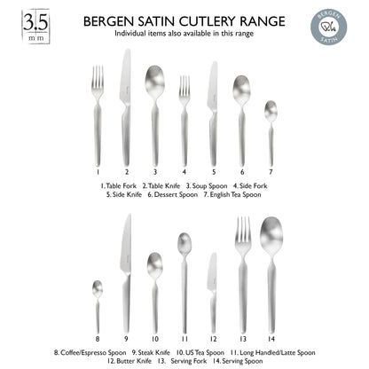 Bergen Satin Long Handled Spoon