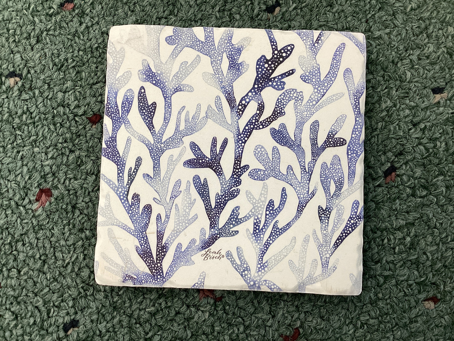 Ocean Coral