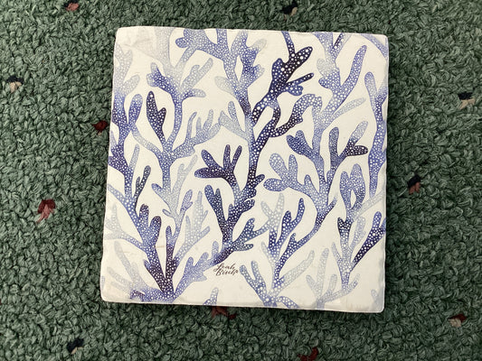 Ocean Coral