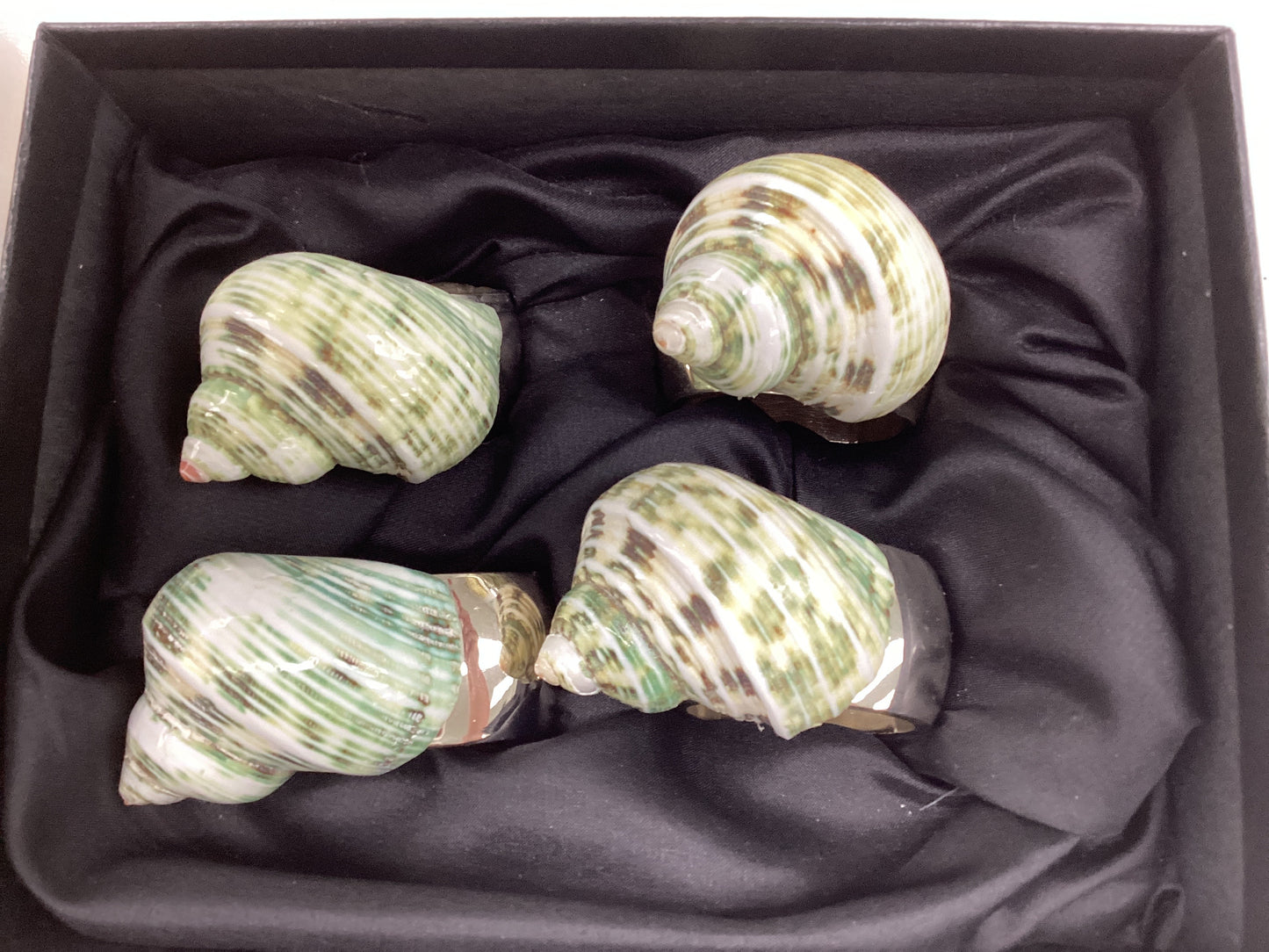 Small Jade Turbo Shell Napkin Rings Silver Band