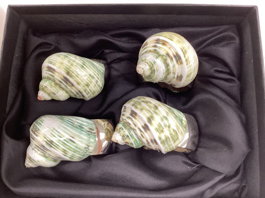 Small Jade Turbo Shell Napkin Rings Silver Band