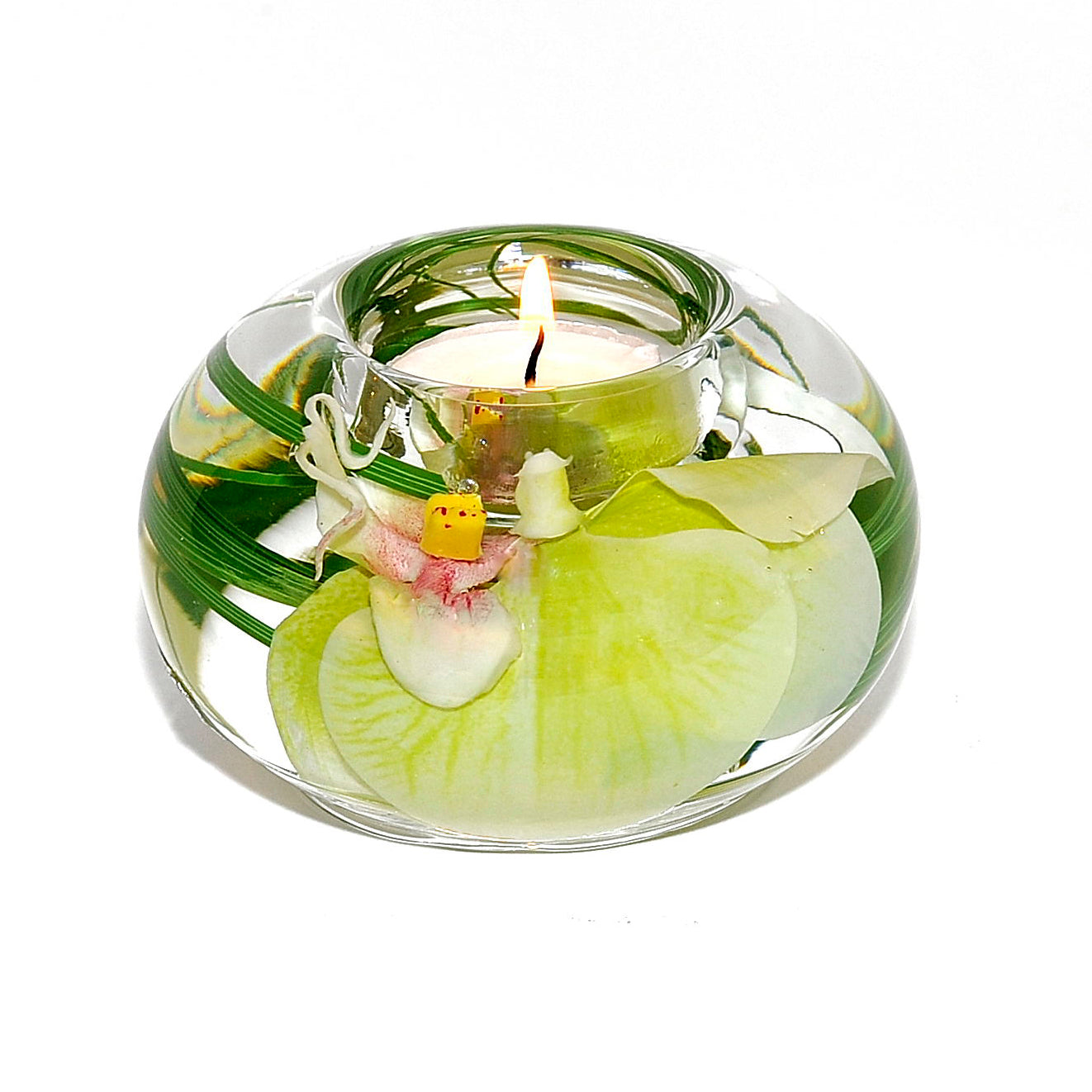 Green Phalaenopsis Orchid T-Light Candle Holder