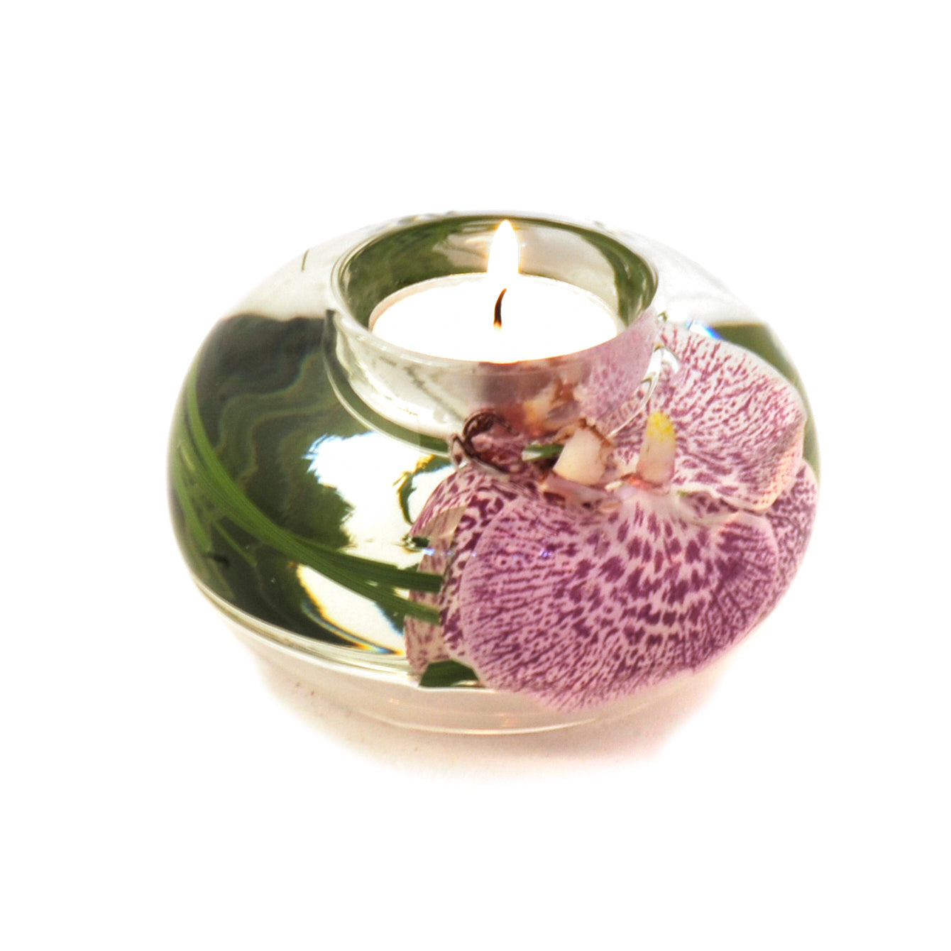 Spotted Phalaenopsis Orchid T-Light Candle Holder