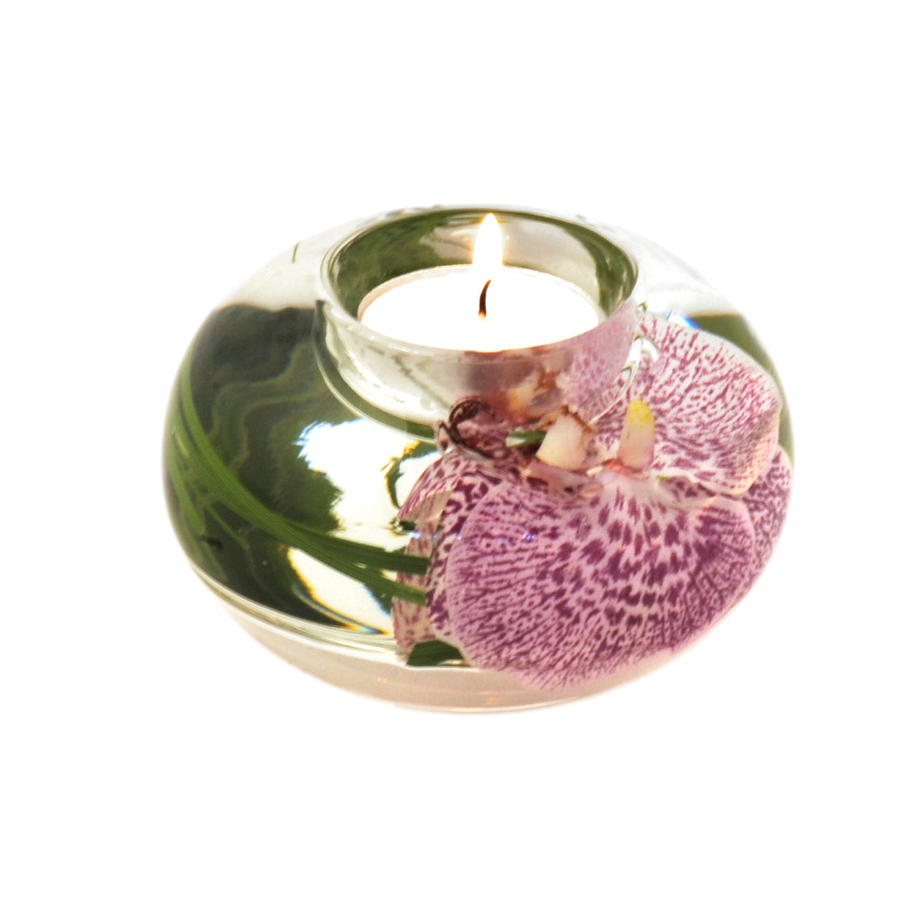 Spotted Phalaenopsis Orchid T-Light Candle Holder