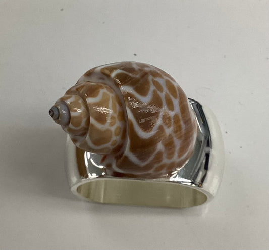 Small Turbo Shell Napkin Ring ENHANCE