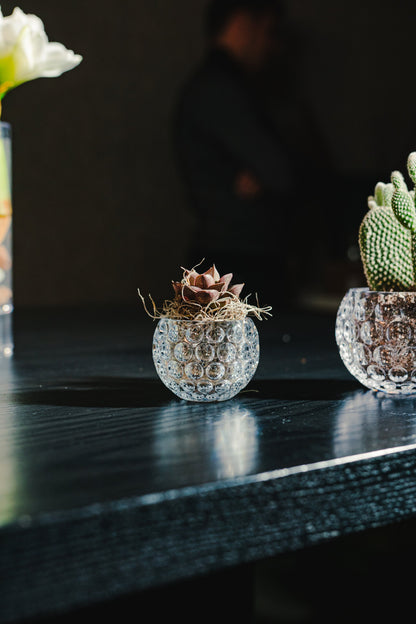 Ambience 2.5" Mini Vase / Votive