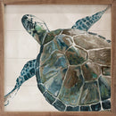Neutral Turtle II