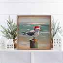 Seagull In Hat