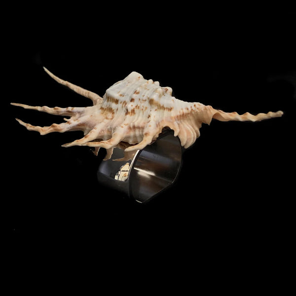 Lambis Scorpion Napkin Ring/2