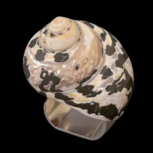 Isabella Adams Large Black Pica Turbo Seashell Napkin Ring - Set of 4
