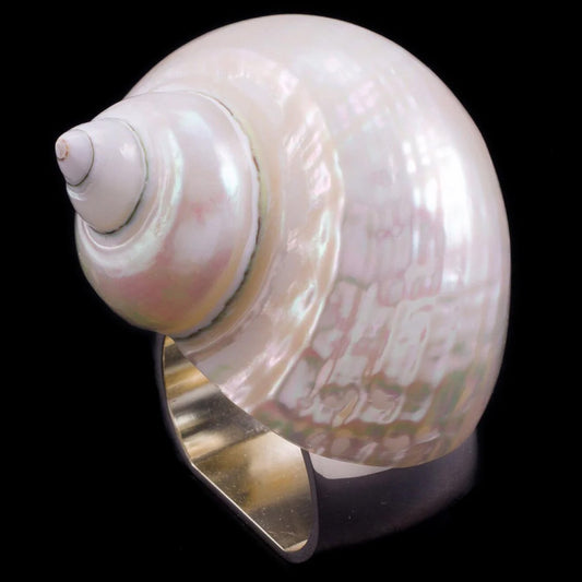 Isabella Adams Large Pearl Turbo Shell Napkin Ring - Set of 4