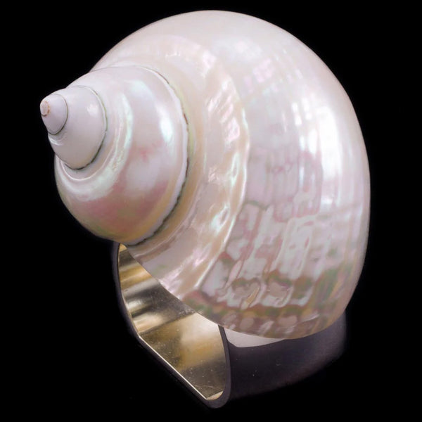 Isabella Adams Large Pearl Turbo Shell Napkin Ring - Set of 4