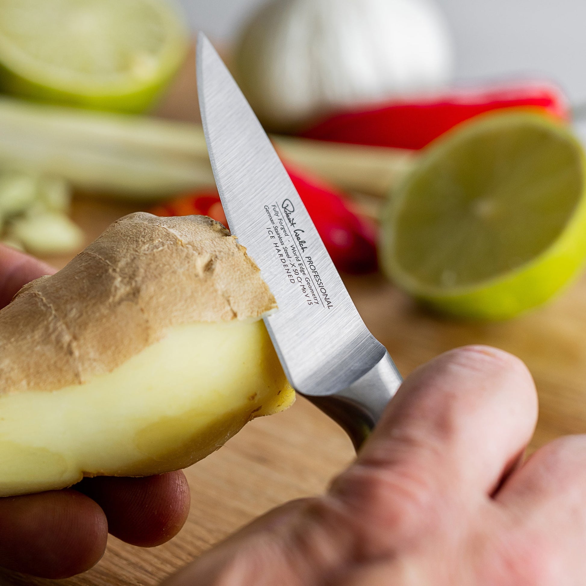 Professional Kitchen Knife Set with Knife Sharpener