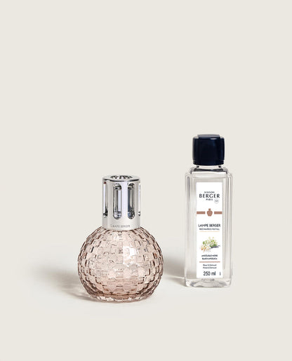 Disco Blush Fragrance Lamp Gift Set with Black Angelica