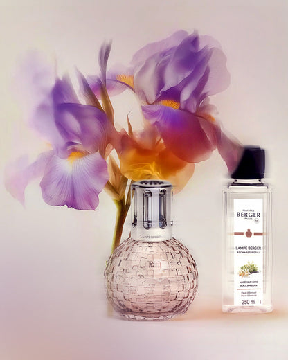 Disco Blush Fragrance Lamp Gift Set with Black Angelica