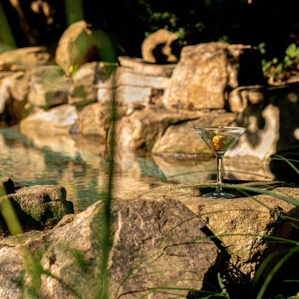 Revel Unbreakable Martini Glass in a rocky outdoor scene